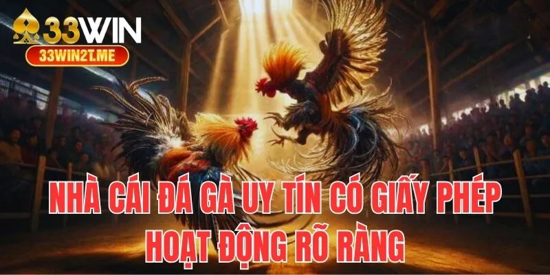 Nhà cái đá gà có giấy phép hoạt động rõ ràng